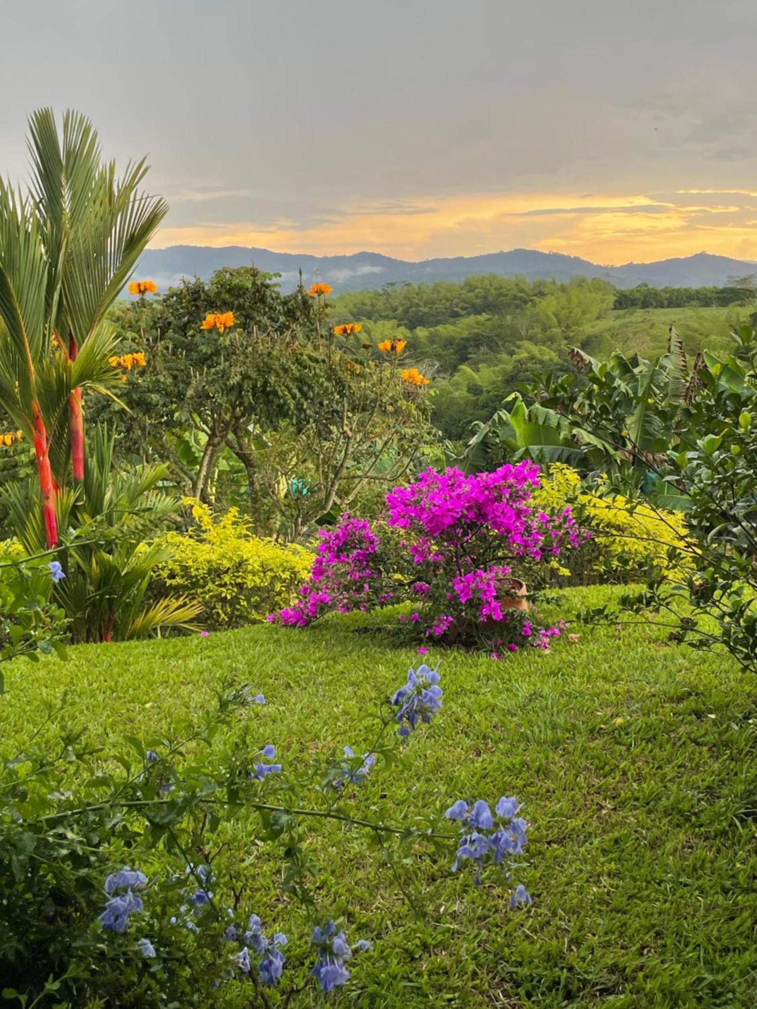 Hotel Boutique La Ceiba Quimbaya Extérieur photo