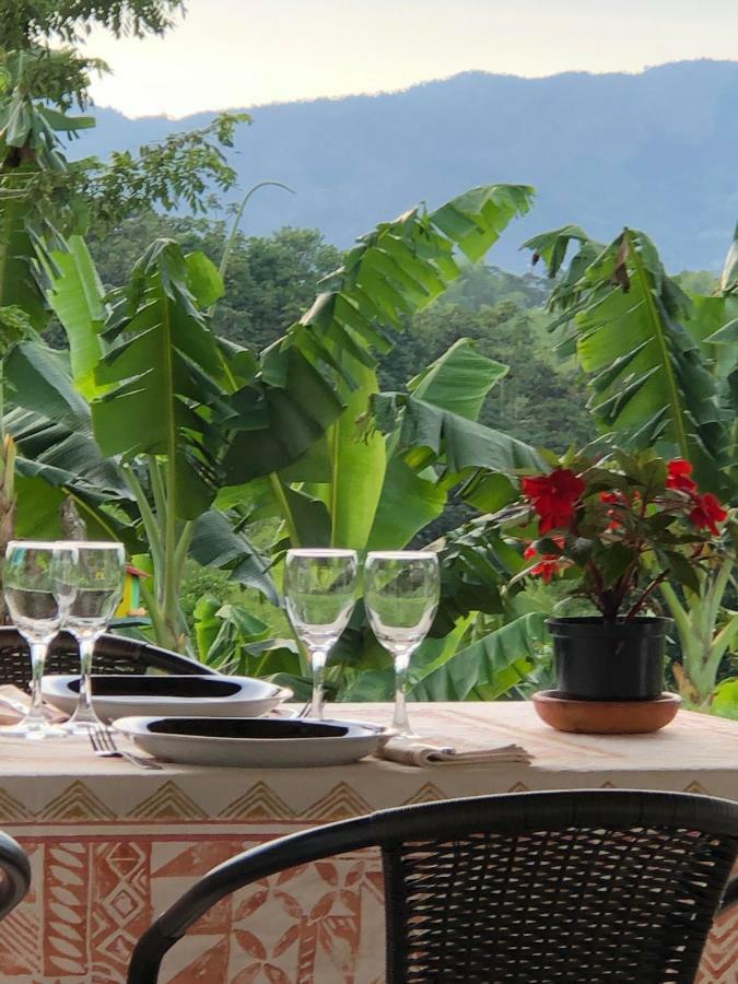 Hotel Boutique La Ceiba Quimbaya Extérieur photo